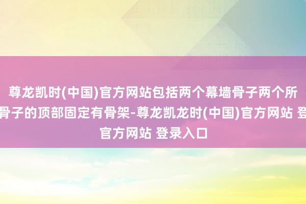 尊龙凯时(中国)官方网站包括两个幕墙骨子两个所述幕墙骨子的顶部固定有骨架-尊龙凯龙时(中国)官方网站 登录入口