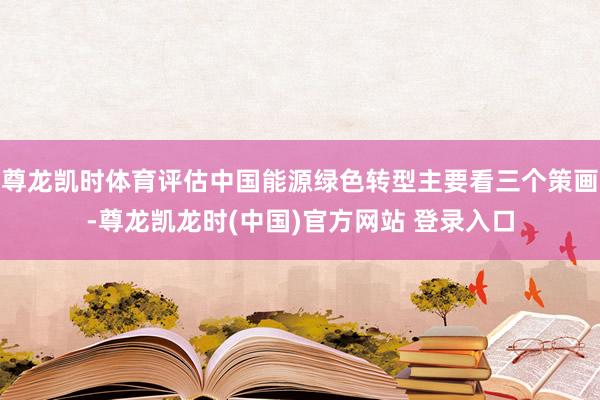 尊龙凯时体育评估中国能源绿色转型主要看三个策画-尊龙凯龙时(中国)官方网站 登录入口