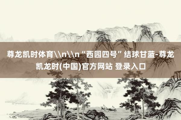 尊龙凯时体育\n\n“西园四号”结球甘蓝-尊龙凯龙时(中国)官方网站 登录入口