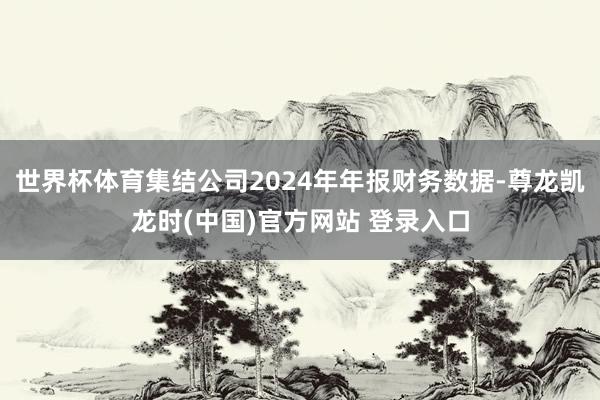 世界杯体育集结公司2024年年报财务数据-尊龙凯龙时(中国)官方网站 登录入口
