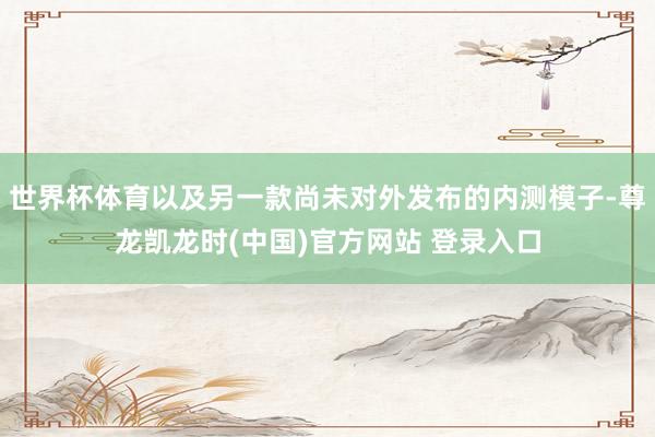 世界杯体育以及另一款尚未对外发布的内测模子-尊龙凯龙时(中国)官方网站 登录入口