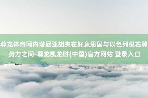尊龙体育网内塔尼亚胡夹在好意思国与以色列极右翼势力之间-尊龙凯龙时(中国)官方网站 登录入口