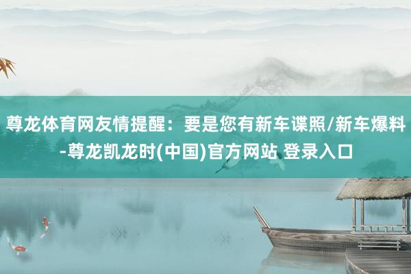 尊龙体育网友情提醒：要是您有新车谍照/新车爆料-尊龙凯龙时(中国)官方网站 登录入口