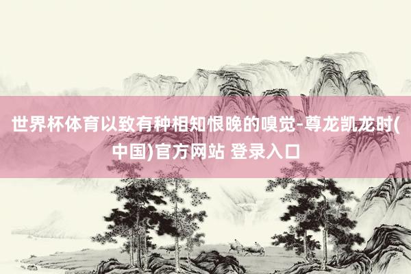 世界杯体育以致有种相知恨晚的嗅觉-尊龙凯龙时(中国)官方网站 登录入口