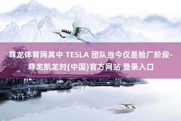 尊龙体育网其中 TESLA 团队当今仅是验厂阶段-尊龙凯龙时(中国)官方网站 登录入口